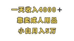 一天收入4000+，靠卖成人用品，小白轻松月入5万【揭秘】-宝妈福缘创业网