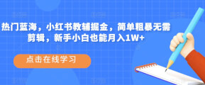 热门蓝海，小红书教辅掘金，简单粗暴无需剪辑，新手小白也能月入1W+【揭秘】-宝妈福缘创业网