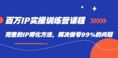 百万IP实战训练营课程，完整的IP孵化方法，解决做号99%的问题-宝妈福缘创业网