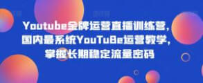 YouTube金牌运营直播训练营：全方位解析YouTube运营秘诀，助您轻松掌握长期稳定流量密码-宝妈福缘创业网