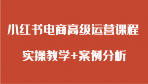 全方位解析小红书电商运营：日照宝妈必备实战教程，从开店到爆款打造-宝妈福缘创业网