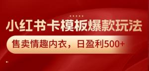 抢占小红书红利风口，日照宝妈亲身经历：情趣内衣爆款卡模板玩法，从零起步日赚500+-宝妈福缘创业网