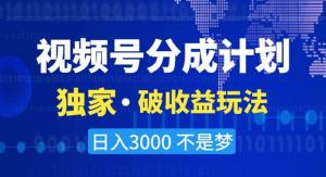 独家·手把手教你玩转视频号分成：日照宝妈也能迅速上手，实战派涨粉变现攻略-宝妈福缘创业网