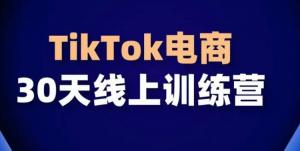 TikTok 30天电商逆袭路，解锁TK店群&独立站联合运营新模式-宝妈福缘创业网