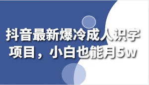 填补市场空白，日照宝妈亲身实践：抖音成人识字项目，如何轻松满足大众需求并月赚5万元-宝妈福缘创业网