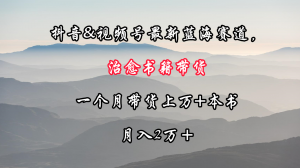 日照宝妈实战攻略：抖音视频号治愈系书籍带货赛道大公开，新手也能月售过万册，月赚超2万-宝妈福缘创业网