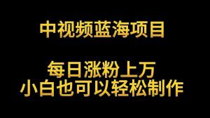 日照宝妈巧借VIVO中视频风口，解读英雄人物月入过万，新手教程即刻起飞-宝妈福缘创业网