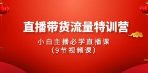 日照宝妈直播崛起：2024直播带货流量密训，9节精华课程全收录-宝妈福缘创业网