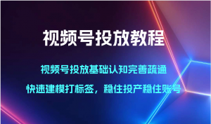 宝妈视频号掘金术：投放教程解锁，稳产高回报-宝妈福缘创业网