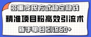 宝妈轻松每日50+精准项目粉引流攻略，稳赚变现路劲详解-宝妈福缘创业网