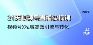 21天视频号直播实操课，视频号X私域高效引流与转化（22节课）-宝妈福缘创业网