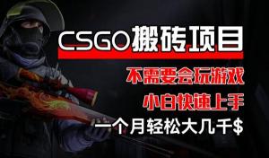 CSGO装备搬砖项目：操作轻松，与游戏技能无关，小白能快速开启，一月收获大几千不是问题-宝妈福缘创业网