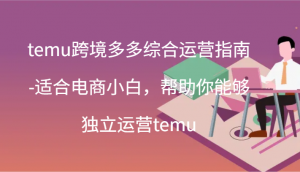 Temu跨境多多综合运营教程：助力电商小白实现独立运营