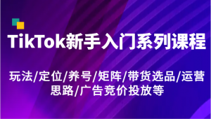 TikTok新手入门系列课：涵盖玩法、定位、养号、矩阵、带货选品、运营思路、广告竞价投放等-宝妈福缘创业网