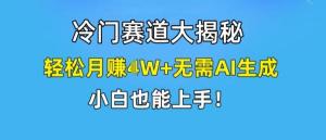 冷门赛道揭秘：轻松月入1W +，无需 AI 生成，小白轻松上手-宝妈福缘创业网