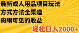 成人用品项目最新玩法，全渠道方式方法呈现，助您轻松日入2K +-宝妈福缘创业网