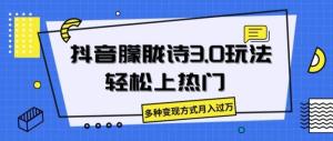 抖音朦胧诗3.0.轻松上热门，多种变现方式月入过万-宝妈福缘创业网