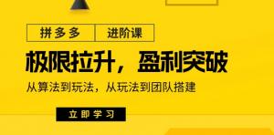 拼多多高级课程：实现业绩飙升与利润突破 – 深入算法精髓，掌握实战技巧，至团队高效组建（共18节课）-宝妈福缘创业网