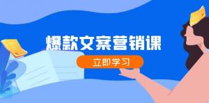 爆款文案营销课程：实现公域向私域的转化，涨粉与成交一举拿下-宝妈福缘创业网