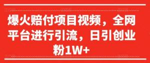 爆火的赔付项目视频，在全网平台进行引流，日引创业粉 1W+-宝妈福缘创业网