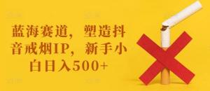 蓝海赛道来袭！塑造抖音戒烟 IP，新手小白也能轻松实现日入 500+-宝妈福缘创业网