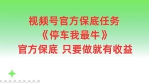 视频号官方保底任务——停车我最牛，官方提供保底，只要去做就会有收益-宝妈福缘创业网