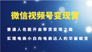 微信视频号变现营——让普通人也能踏上带货变现之路，助力电商小白实现向电商达人的华丽蜕变-宝妈福缘创业网