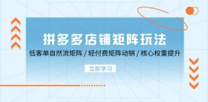 拼多多店铺矩阵玩法：包括低客单自然流矩阵、轻付费矩阵动销以及核心权重提升等内容-宝妈福缘创业网