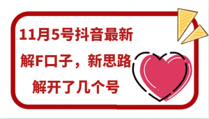 11月5号抖音最新解F口子，新思路解开了几个号-宝妈福缘创业网