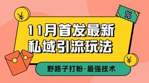 11月首发最新私域引流玩法，自动克隆爆款一键改写截流自热一体化 日引300+精准粉-宝妈福缘创业网