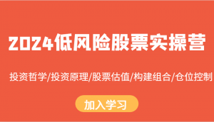 2024低风险股票实操营：投资哲学/投资原理/股票估值/构建组合/仓位控制-宝妈福缘创业网