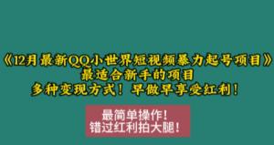 12月最新QQ小世界短视频暴力起号项目，最适合新手的项目，多种变现方式-宝妈福缘创业网