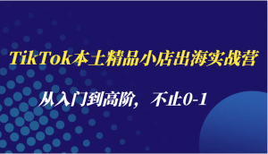 TikTok本土精品小店出海实战营，从入门到高阶，不止0-1-宝妈福缘创业网