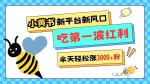 小黄书重磅来袭，新平台新风口，管理宽松，半天轻松涨3000粉，第一波红利等你来吃-宝妈福缘创业网