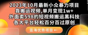 2023年10月最新小众暴力项目，靠搬运视频,单月变现1w+，外面卖598的短视频搬运黑科技，各大平台轻松百分百过原创-宝妈福缘创业网