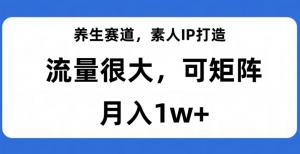 养生赛道，素人IP打造，流量很大，可矩阵，月入1w+-宝妈福缘创业网