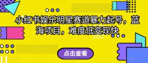 小红书娱乐明星赛道暴力起号，轻松实现蓝海项目-宝妈福缘创业网