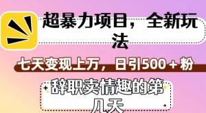 超暴利项目，全新玩法（辞职卖情趣的第几天），七天变现上万，日引500+粉【揭秘】-宝妈福缘创业网