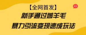 轻松上手，月入过万：薅羊毛新手入行互联网的最佳选择-宝妈福缘创业网