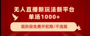 快手陌陌播剧热潮：日照宝妈如何利用无人直播轻松赚取收益，实战操作指南-宝妈福缘创业网