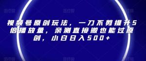 日照宝妈分享：视频号原创玩法，轻松提升5倍播放量，小白日入500+-宝妈福缘创业网