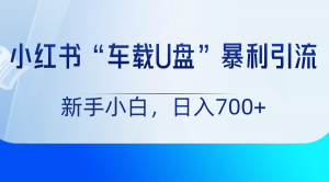 日照宝妈巧借小红书车载U盘项目，低成本高利润变现攻略：新手日赚700+实战分享-宝妈福缘创业网