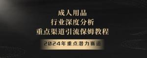 日赚过千不是梦！日照宝妈速看：成人用品行业潜力爆发，全程实操引流变现课程详解-宝妈福缘创业网