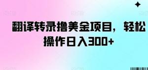 翻译小白逆袭记：日照宝妈揭示轻松日入几百元的音频视频转录项目玩法，带你解锁美金新技能-宝妈福缘创业网