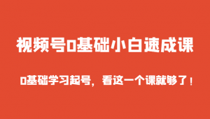 视频号创业逆袭之路：从零起航，一课掌握全攻略-宝妈福缘创业网