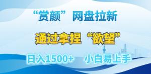 驾驭欲望流量密码，日照宝妈教你如何玩转赏颜网盘拉新，小白也能轻松变现-宝妈福缘创业网