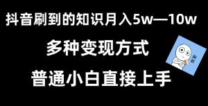 爆款案例拆解：日照宝妈借助抖音小人讲解视频轻松实现暴力变现，普通用户跟上风口年赚几十万不是梦-宝妈福缘创业网