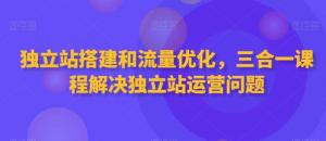 独立站掘金之路：日照宝妈适用，全面解析搭建运维至谷歌流量获取，掌握收款结汇与SEO优化全套战术-宝妈福缘创业网