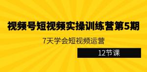 短视频运营不再迷茫，日照宝妈亲测有效！7日速成计划，全面解析视频号运营心法-宝妈福缘创业网