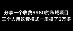 私域掘金实战课：日照宝妈透露快速赚钱内幕，售价6980元项目三人一周即赚6万，一键掌握暴利变现秘诀-宝妈福缘创业网